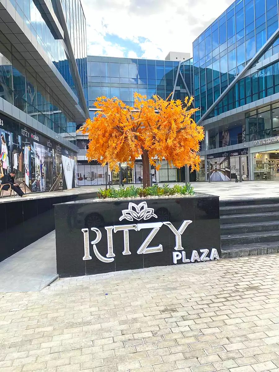 https://aqarmap.com.eg/ar/listing/6835093-for-rent-cairo-el-sheikh-zayed-city-compounds-rytzy-blz-mwl-tybh-llstthmr-l-qry