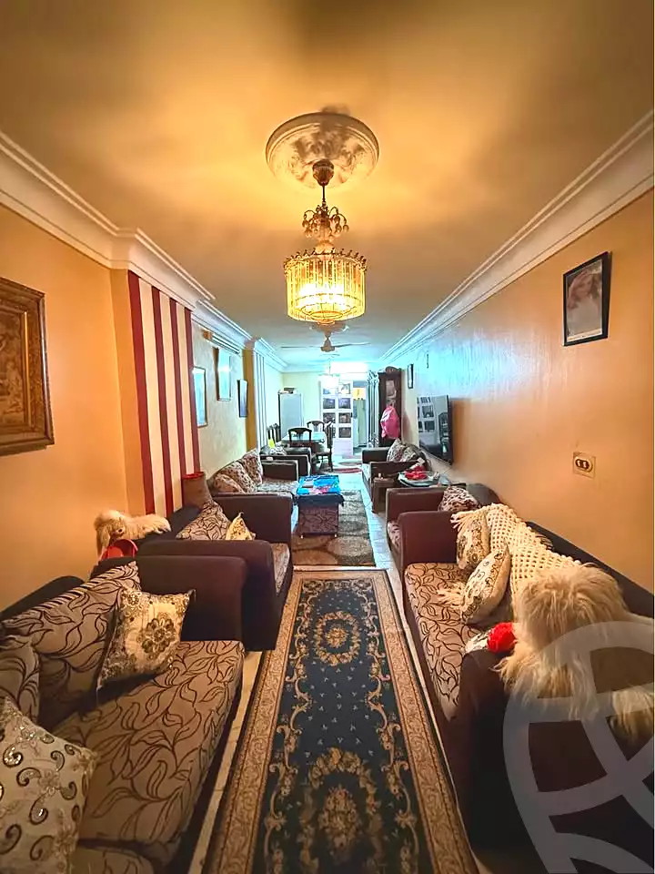 https://aqarmap.com.eg/ar/listing/6842646-for-sale-alexandria-el-asafra-ali-bahgat-al-deryni-st