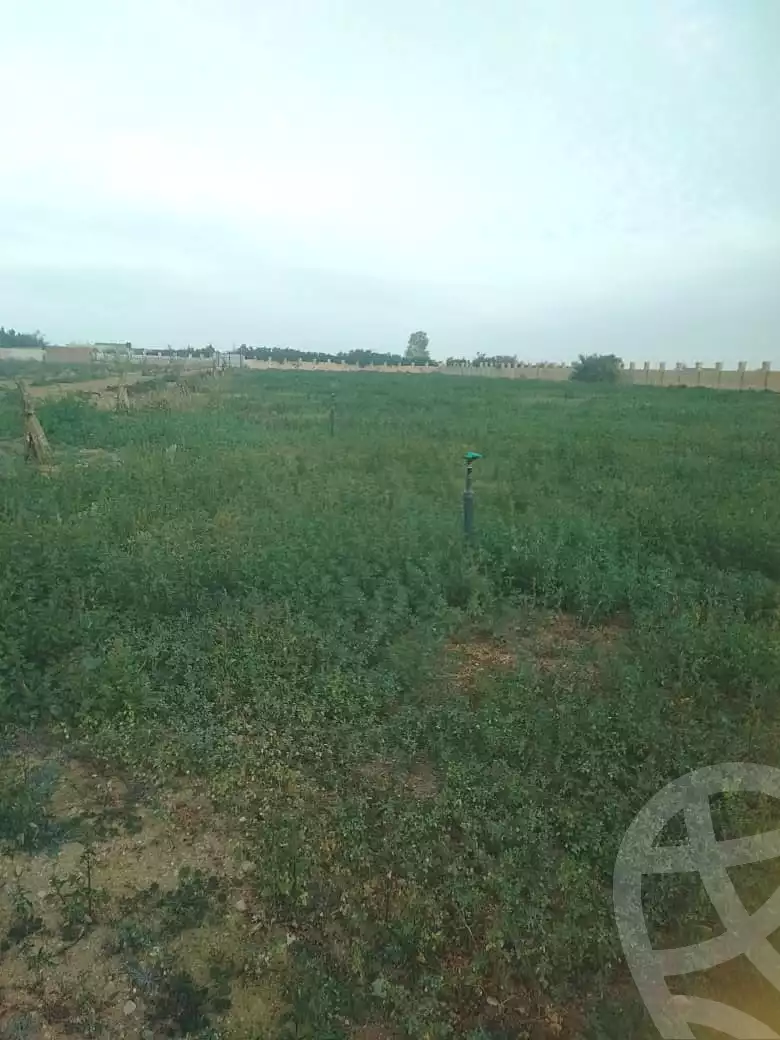 https://aqarmap.com.eg/ar/listing/6843740-for-sale-suez-el-ganain-shandoura-village