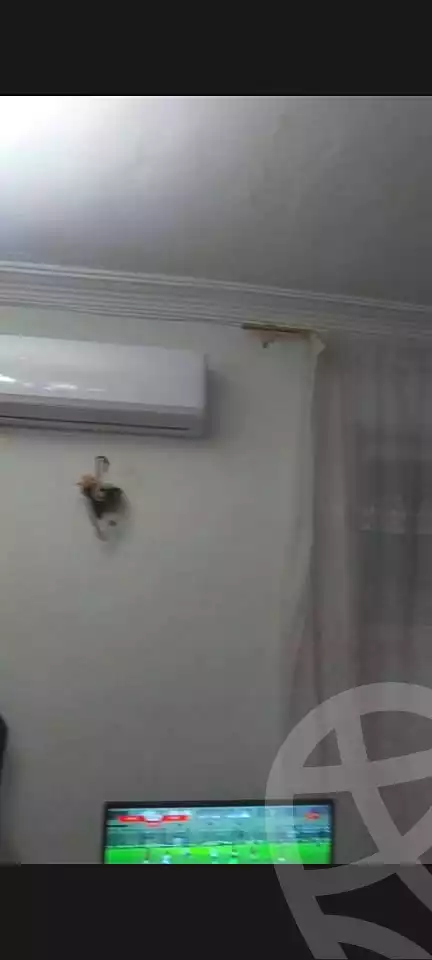https://aqarmap.com.eg/ar/listing/6845529-for-rent-alexandria-sydy-bshr-sydy-bshr-bhry-gamal-abd-el-nasir-st