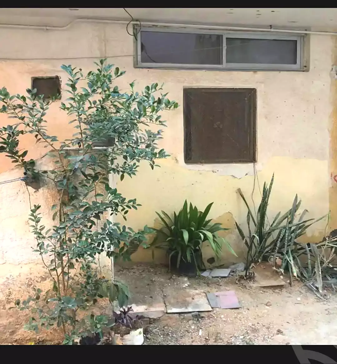 https://aqarmap.com.eg/en/listing/6847127-for-sale-alexandria-al-agamy-lbytsh-shahr-al-assal-st