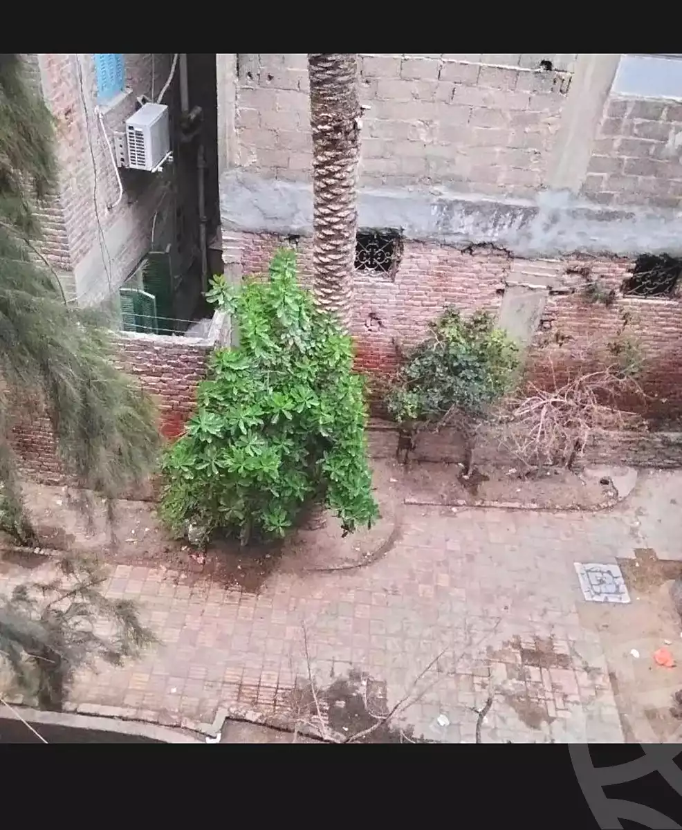 https://aqarmap.com.eg/en/listing/6847488-for-sale-alexandria-el-mandara-alex-el-mandara-qebli
