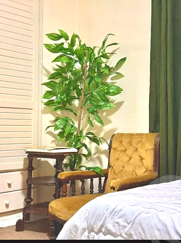 https://aqarmap.com.eg/ar/listing/6850784-for-rent-cairo-al-zamalek-shr-bhjt-ly