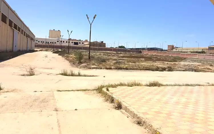 https://aqarmap.com.eg/en/listing/6852380-for-sale-alexandria-el-amreya-margham
