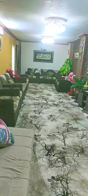 https://aqarmap.com.eg/en/listing/6857262-for-sale-cairo-ain-shams-mnshy-lthryr
