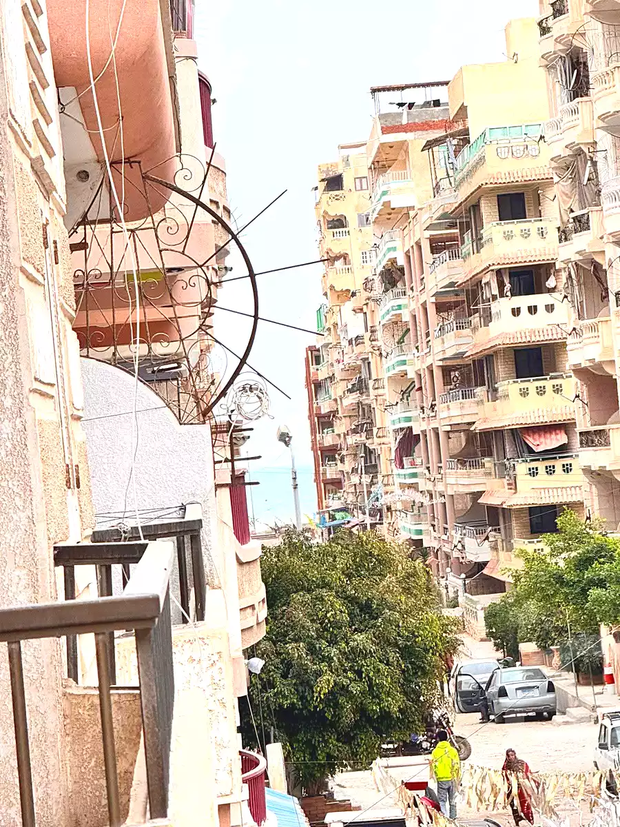 https://aqarmap.com.eg/en/listing/6857414-for-sale-alexandria-al-agamy-shataa-el-nakheel