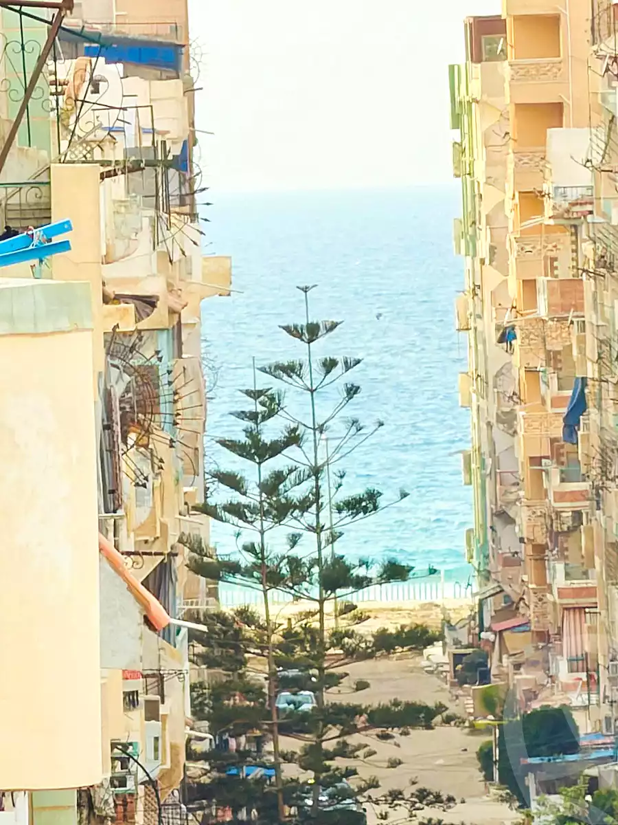 https://aqarmap.com.eg/en/listing/6871542-for-sale-alexandria-al-agamy-shataa-el-nakheel