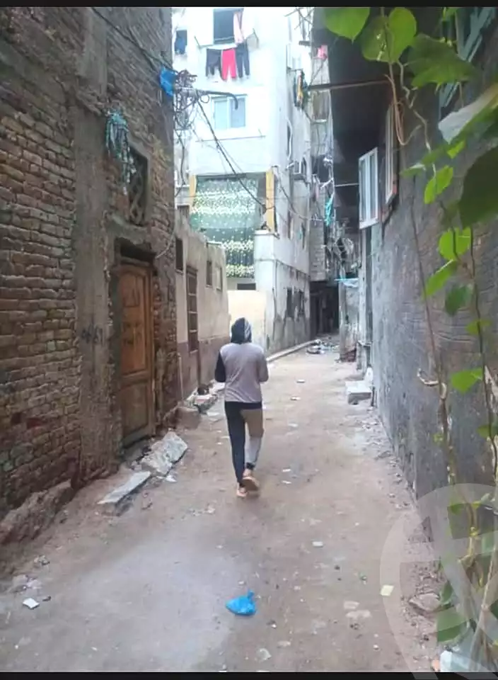 https://aqarmap.com.eg/en/listing/6872024-for-sale-alexandria-el-mandara-alex-el-mandara-qebli