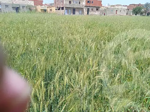 https://aqarmap.com.eg/ar/listing/6866929-for-sale-el-fayoum-etsa-itsa-city