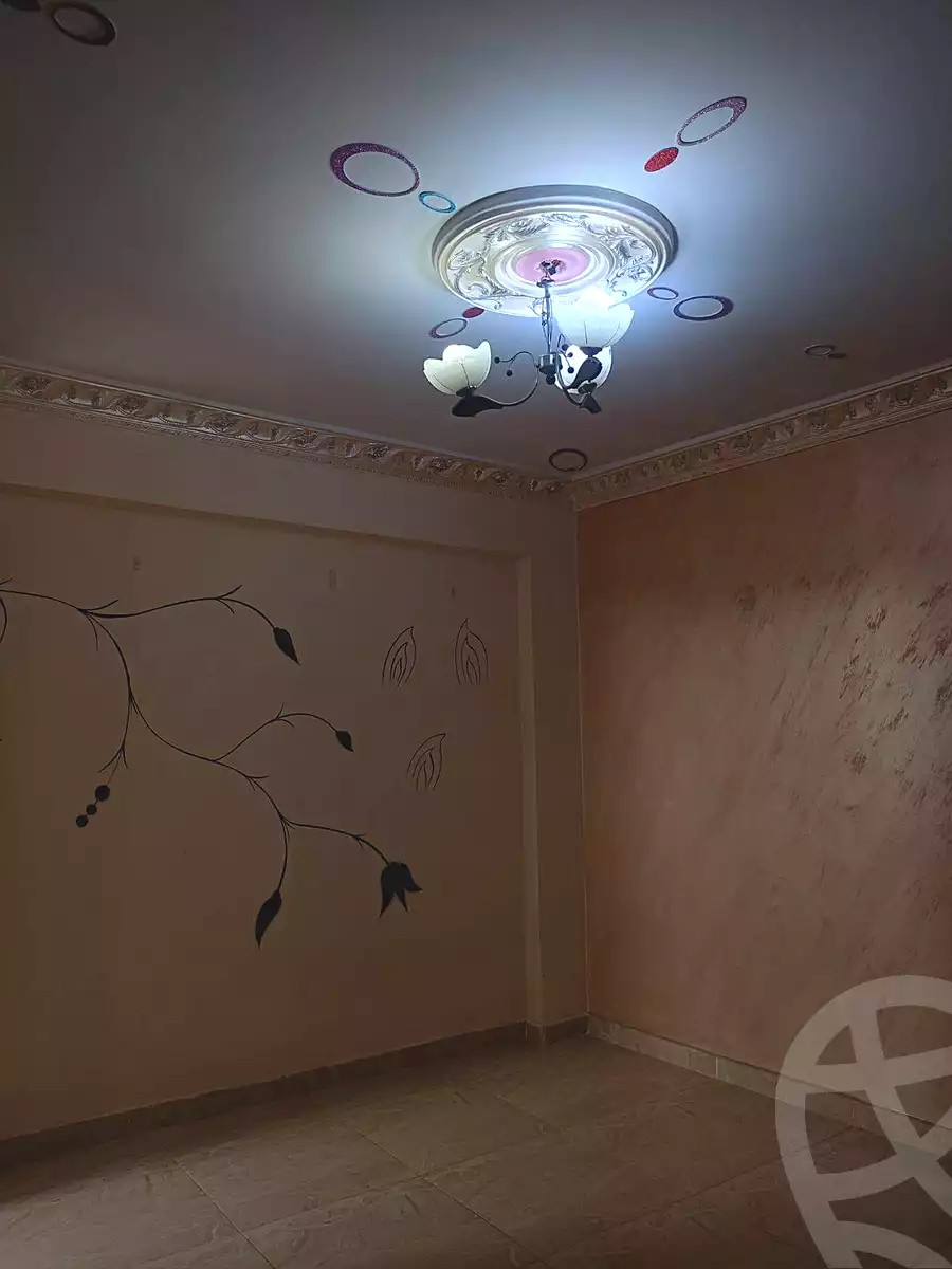 https://aqarmap.com.eg/ar/listing/6875969-for-sale-alexandria-al-agamy-el-hanouvel-al-haded-we-al-soulb-st
