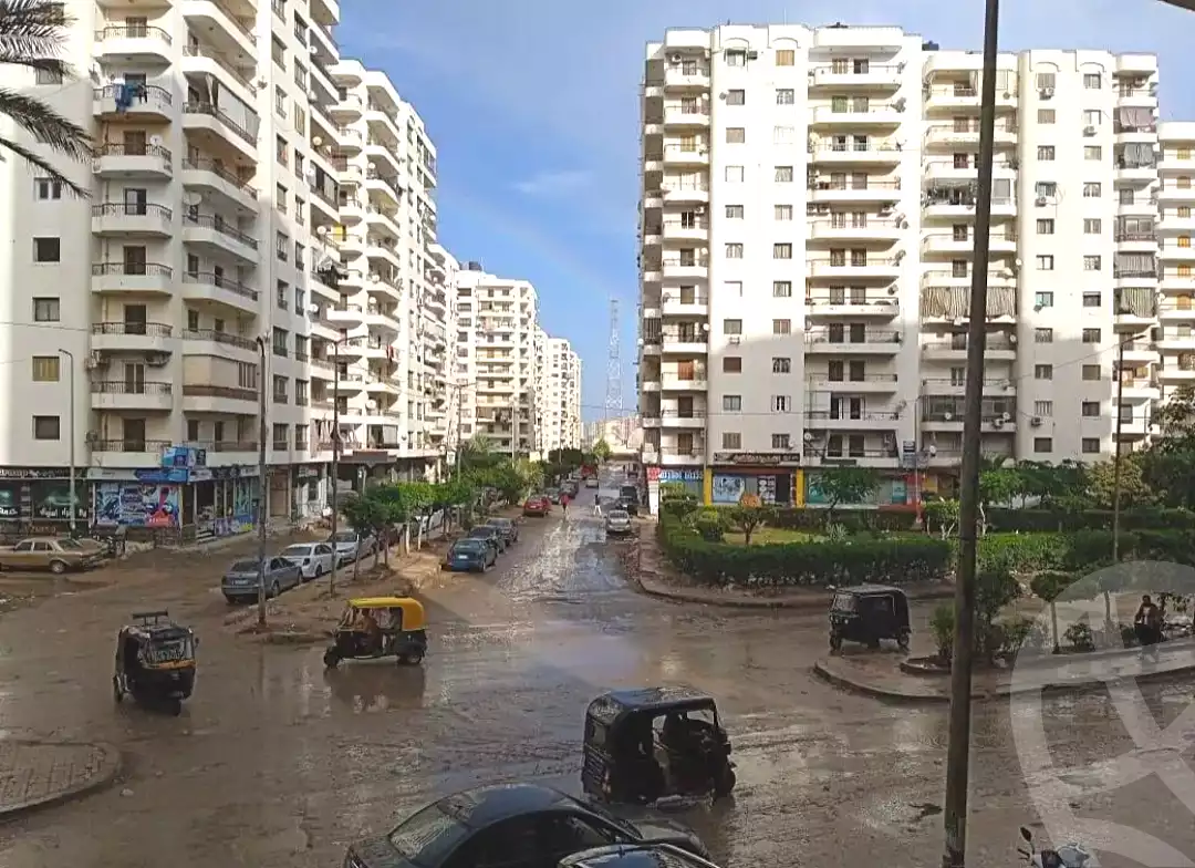 https://aqarmap.com.eg/ar/listing/6879254-for-sale-alexandria-el-mandara-nabawy-al-mohandes-st