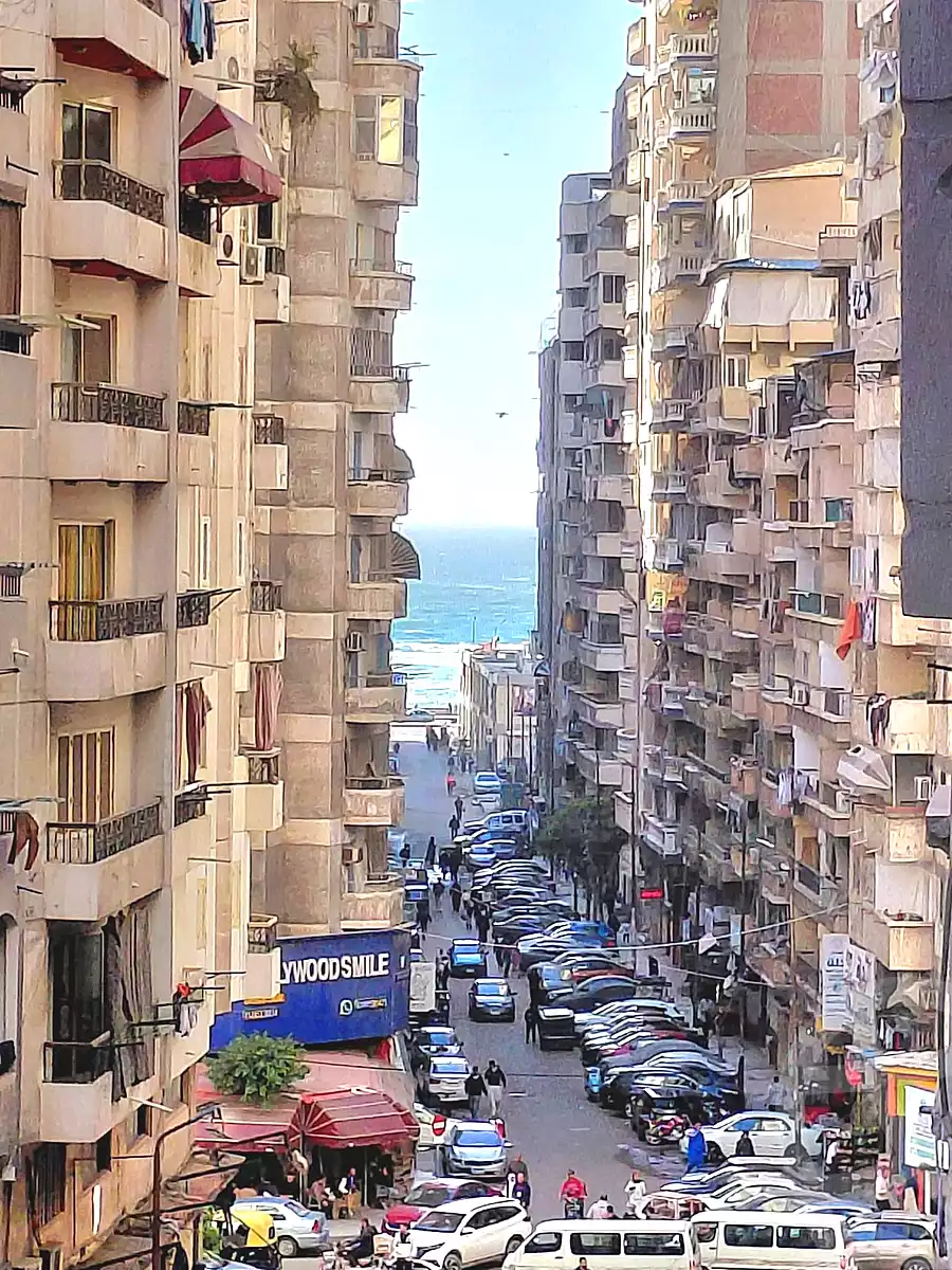 https://aqarmap.com.eg/ar/listing/6890486-for-sale-alexandria-el-asafra-salman-el-farsi-st