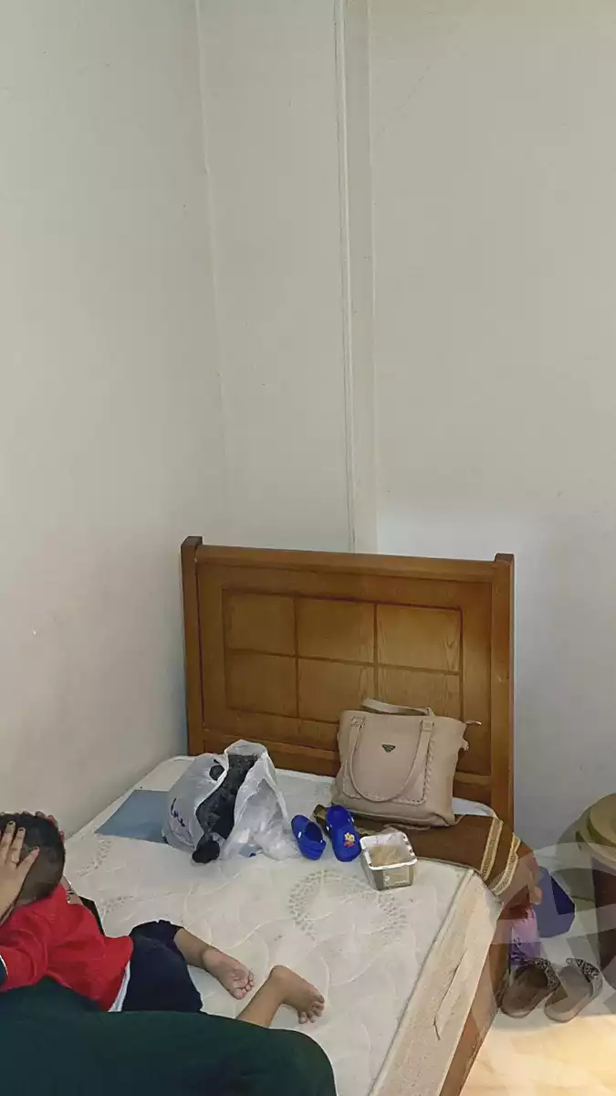 https://aqarmap.com.eg/en/listing/6906958-for-rent-cairo-faisal