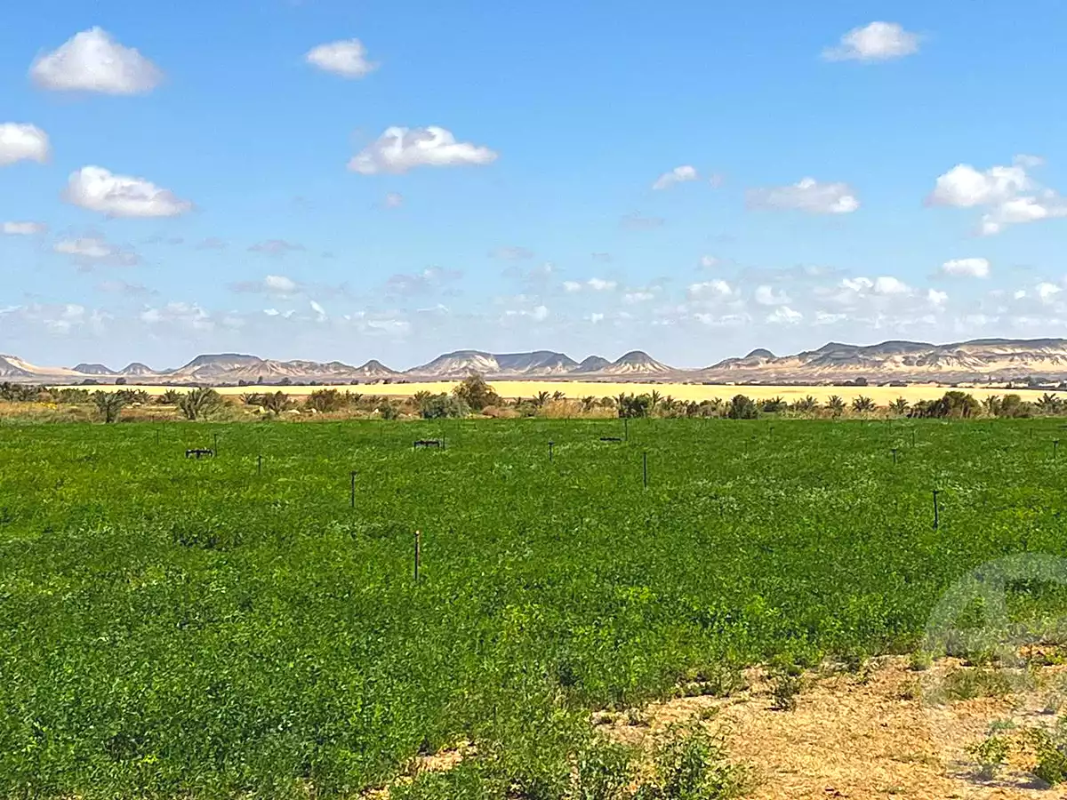 https://aqarmap.com.eg/ar/listing/6907760-for-sale-cairo-ljyz-bahariya-oasis-mandishah-village