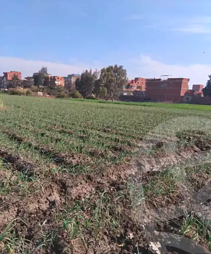 https://aqarmap.com.eg/ar/listing/6911450-for-sale-gharbia-tanta-tanta-city