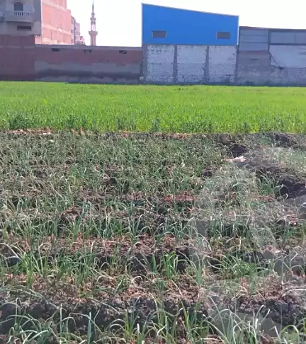 https://aqarmap.com.eg/ar/listing/6911450-for-sale-gharbia-tanta-tanta-city