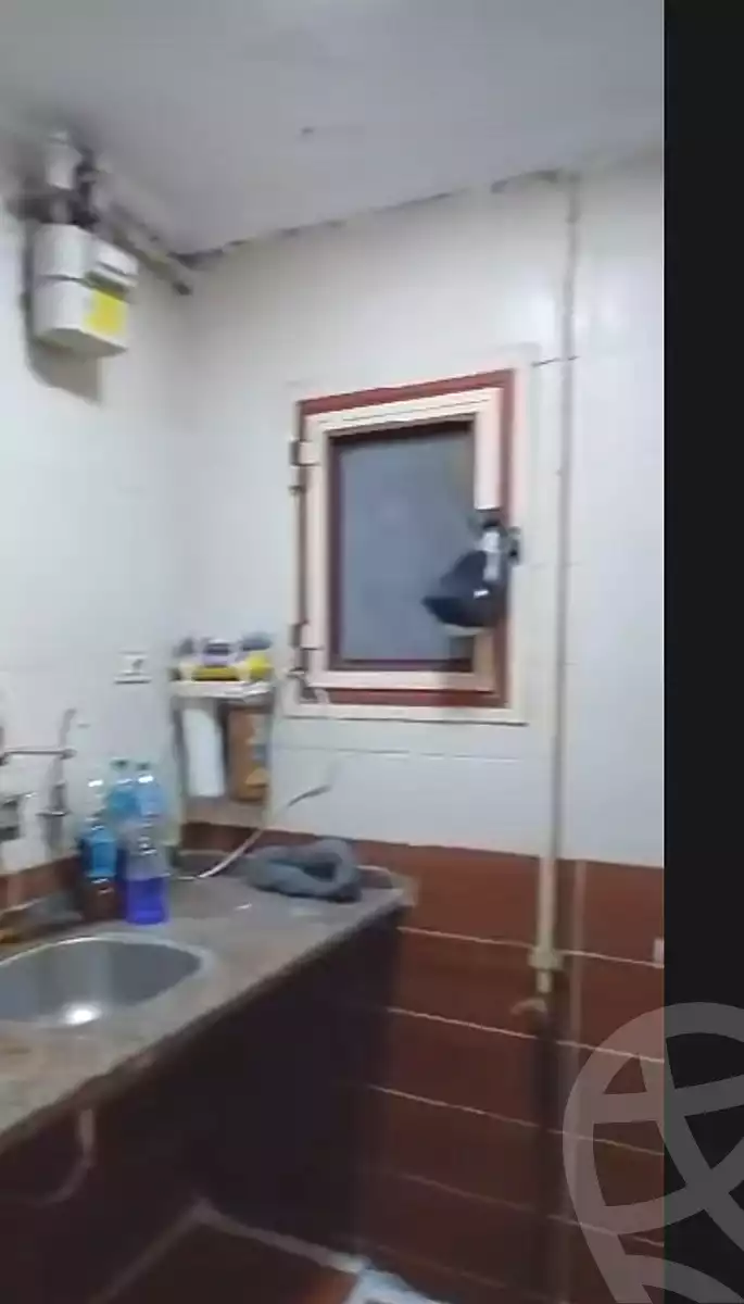 https://aqarmap.com.eg/en/listing/6911463-for-rent-alexandria-sydy-bshr-sydy-bshr-qbly
