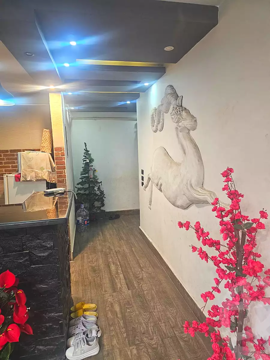 https://aqarmap.com.eg/en/listing/6915655-for-rent-cairo-el-haram-el-lebeny