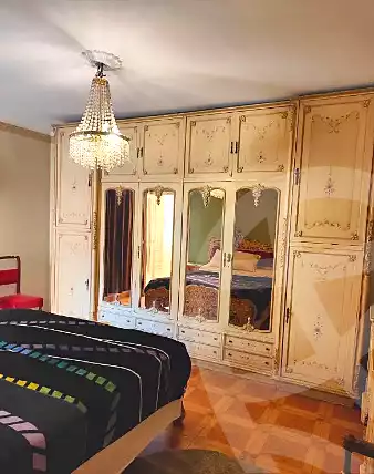 https://aqarmap.com.eg/en/listing/6922607-for-rent-cairo-heliopolis-el-higaz-square-ammar-ibn-yasser-st