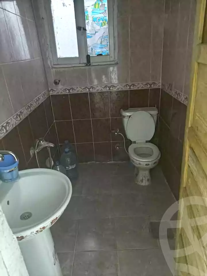 https://aqarmap.com.eg/ar/listing/6926933-for-rent-alexandria-miami-khld-bn-lwlyd