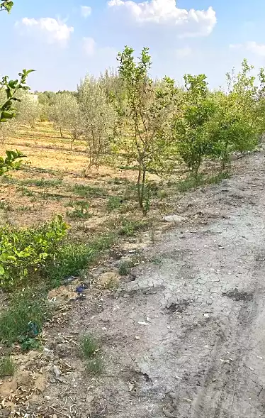https://aqarmap.com.eg/ar/listing/6927356-for-sale-ismailia-ismailia-city-al-asher-men-ramadan-st