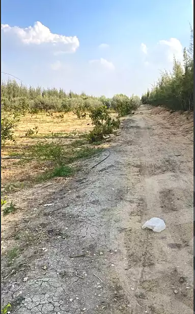 https://aqarmap.com.eg/ar/listing/6927356-for-sale-ismailia-ismailia-city-al-asher-men-ramadan-st