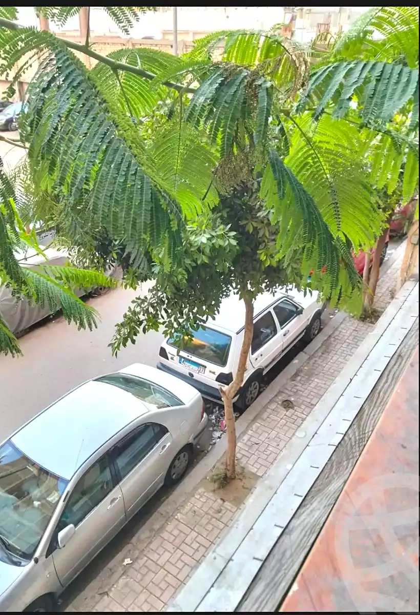 https://aqarmap.com.eg/en/listing/6929301-for-sale-alexandria-lsywf-mostafa-kamel-st