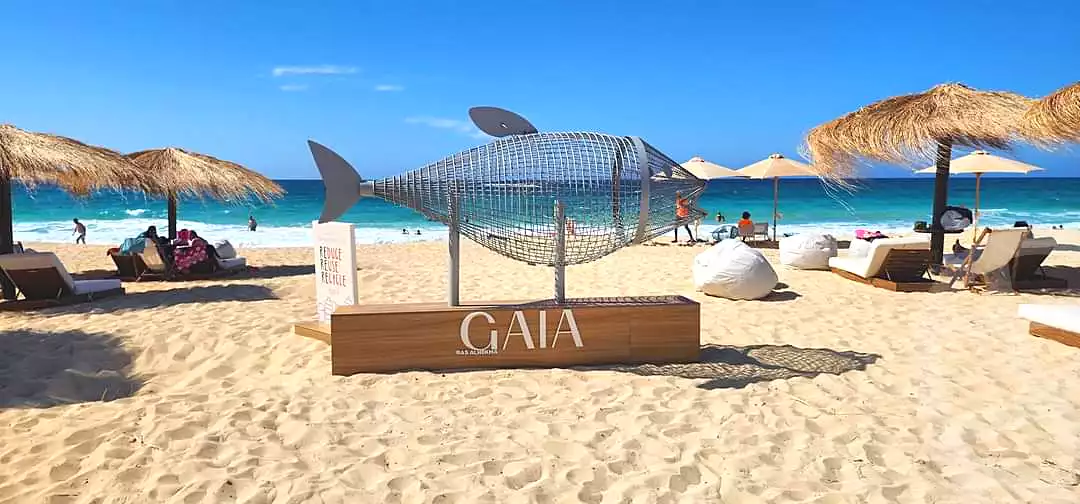 https://aqarmap.com.eg/en/listing/6930589-for-sale-north-coast-resorts-gaia