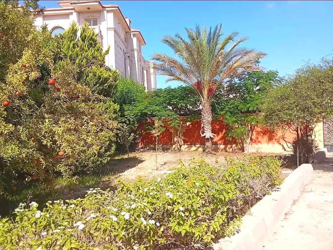https://aqarmap.com.eg/en/listing/6933324-for-sale-alexandria-brj-l-rb-ljdyd-lhy-lthlth