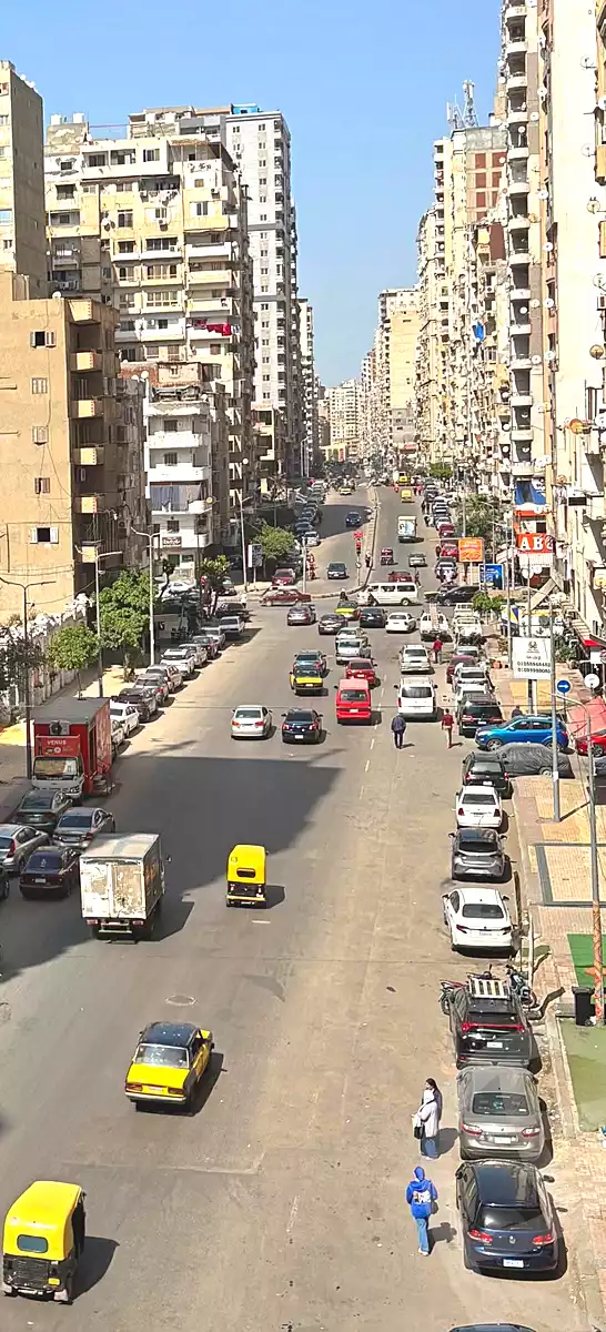 https://aqarmap.com.eg/en/listing/6933412-for-sale-alexandria-sydy-bshr-sydy-bshr-bhry-shr-mhmwd-l-yswy