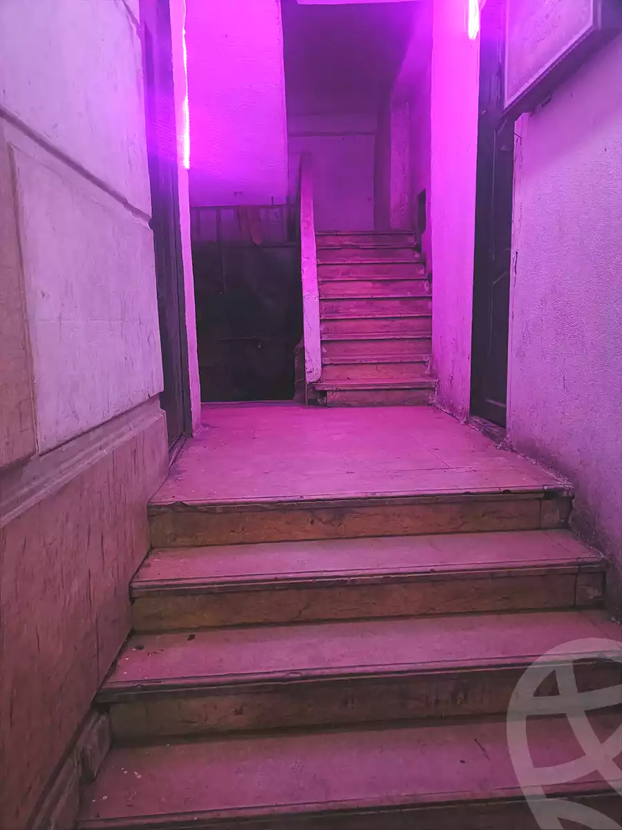 https://aqarmap.com.eg/ar/listing/6940354-for-sale-alexandria-miami-khld-bn-lwlyd