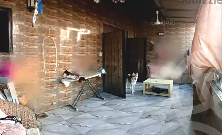 https://aqarmap.com.eg/en/listing/6940755-for-sale-cairo-ain-shams-alf-maskn-ismail-el-fangari-st