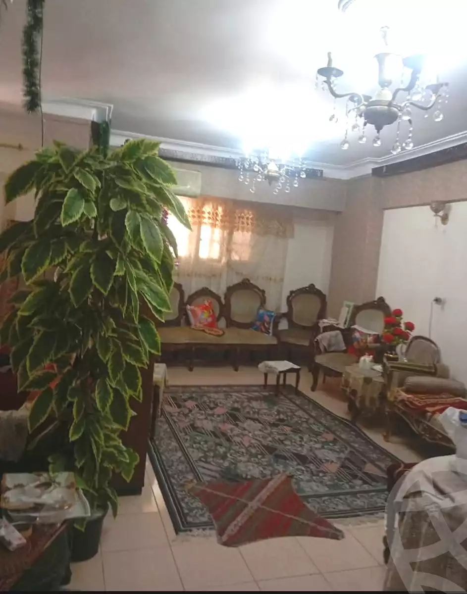 https://aqarmap.com.eg/ar/listing/6940849-for-sale-alexandria-sydy-bshr-sydy-bshr-bhry