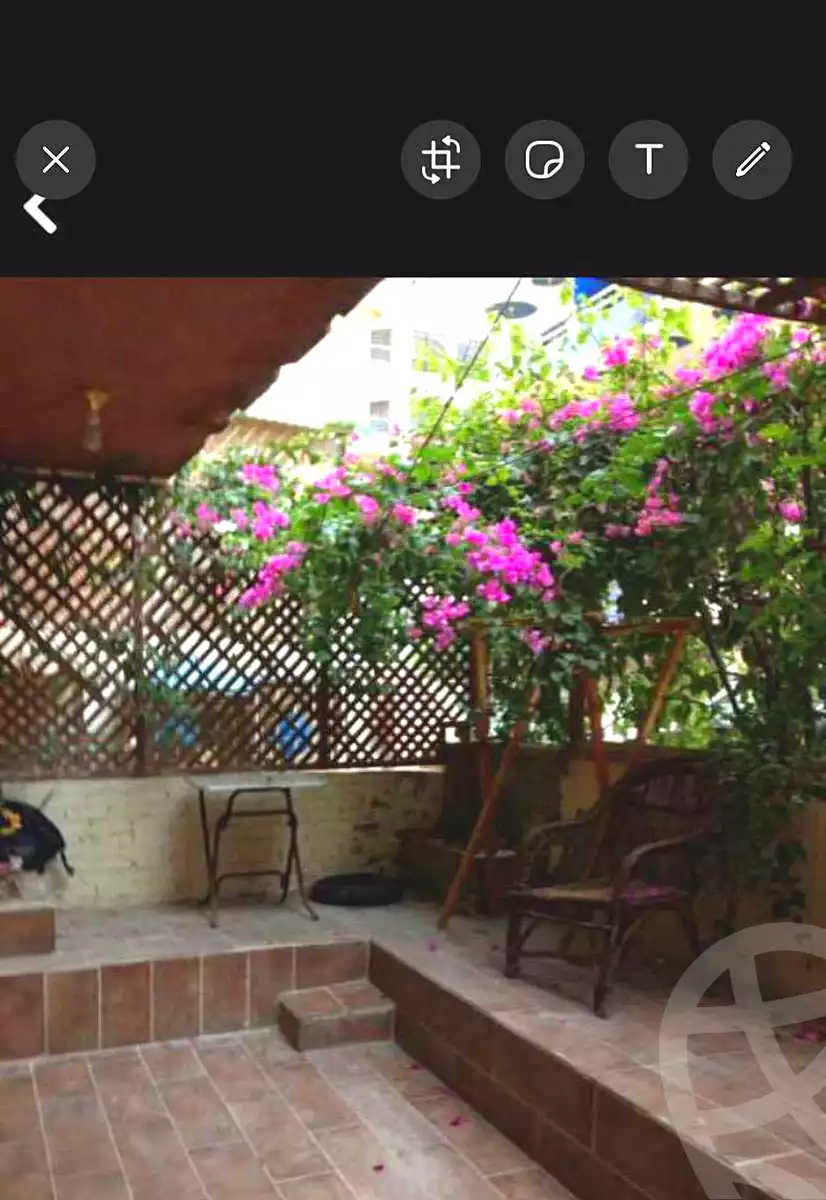 https://aqarmap.com.eg/ar/listing/6943940-for-rent-alexandria-al-agamy-shataa-el-nakheel