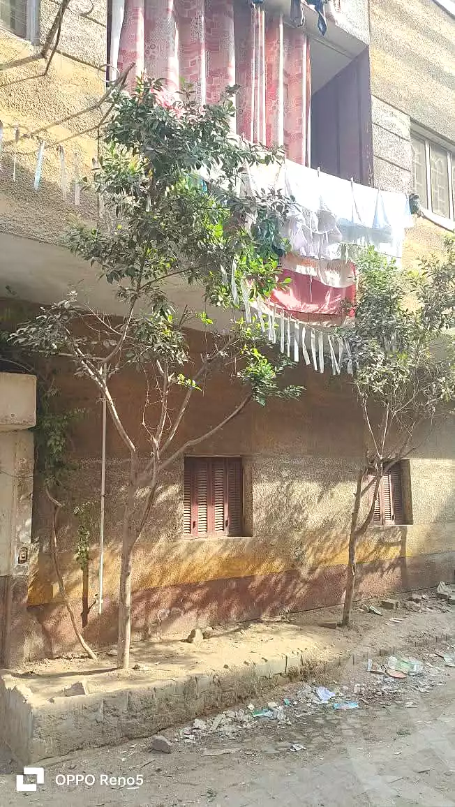 https://aqarmap.com.eg/en/listing/6947089-for-sale-cairo-ljyz-el-moneeb