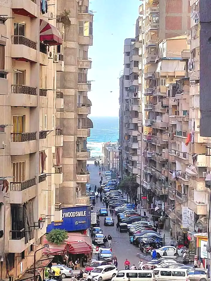 https://aqarmap.com.eg/ar/listing/6947778-for-sale-alexandria-el-asafra-l-sfr-bhry