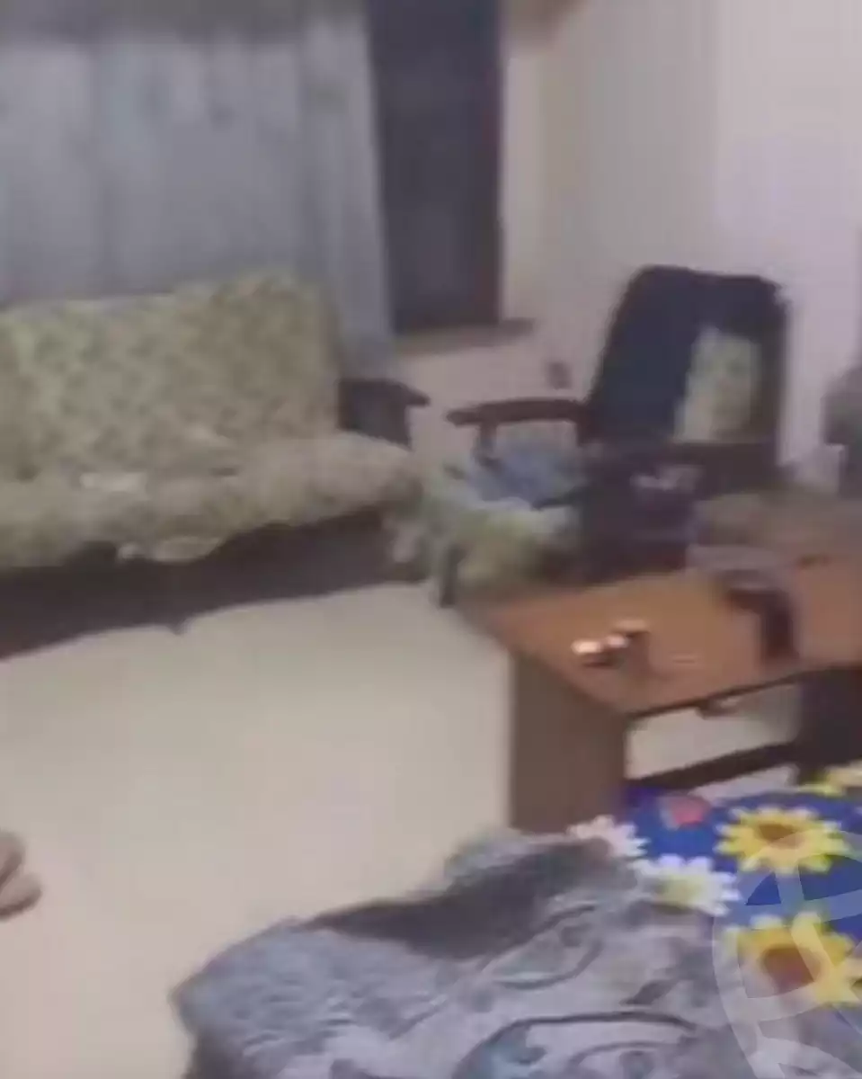https://aqarmap.com.eg/ar/listing/6953182-for-sale-cairo-ain-shams-ain-shams-el-sharkia
