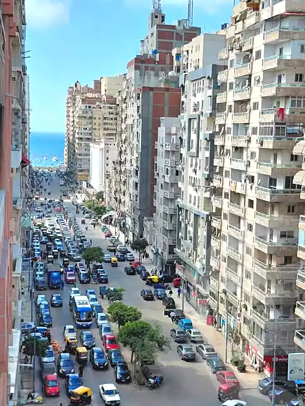 https://aqarmap.com.eg/en/listing/6953865-for-sale-alexandria-miami-iskandar-ibrahim-st