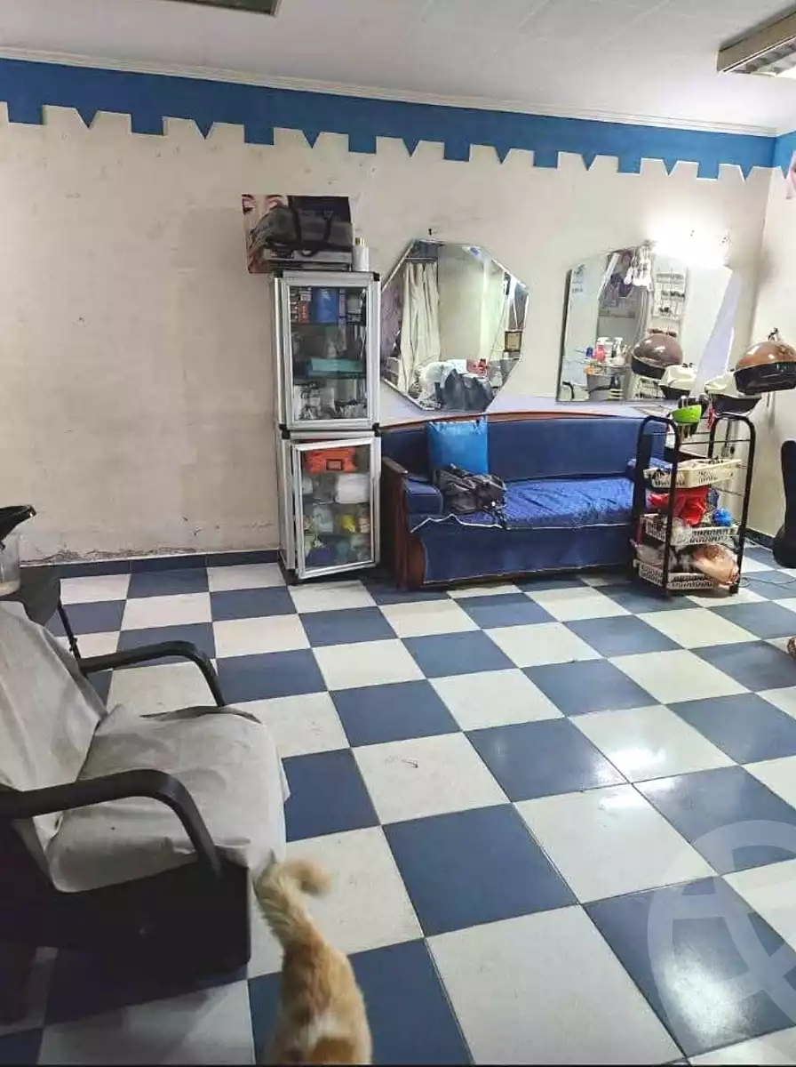https://aqarmap.com.eg/ar/listing/6956336-for-sale-alexandria-fyktwry