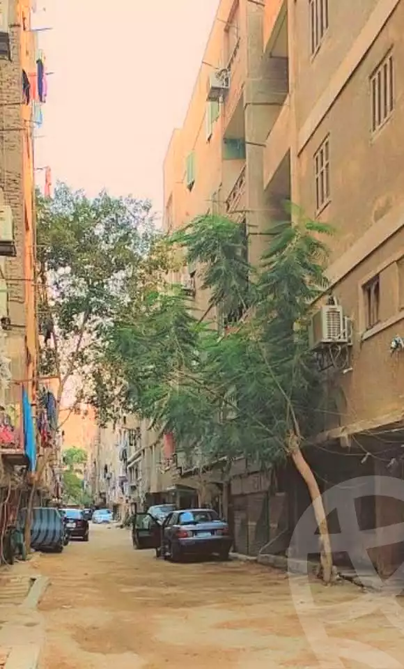 https://aqarmap.com.eg/en/listing/6959659-for-sale-cairo-el-haram-shareaa-khatem-el-morsalen