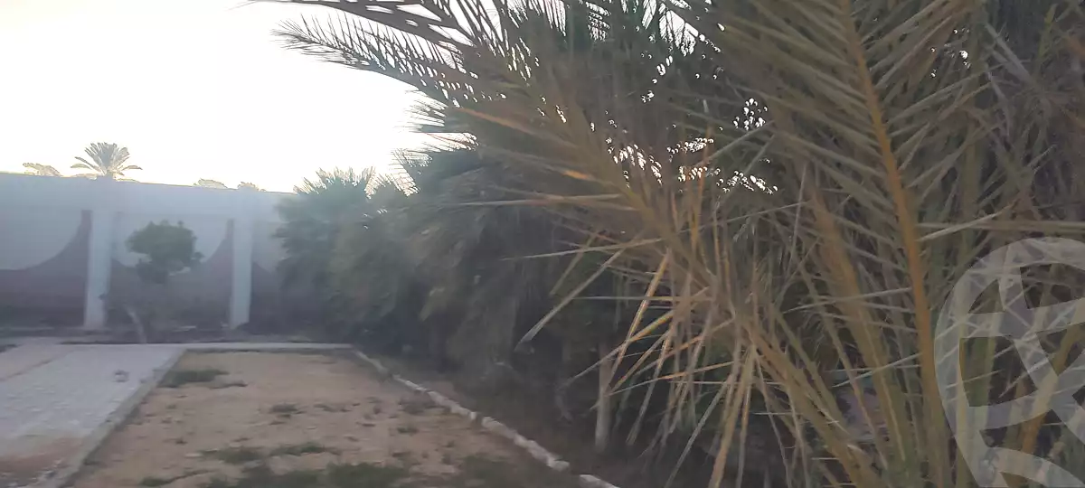 https://aqarmap.com.eg/ar/listing/6959847-for-rent-alexandria-borg-el-arab-el-bahira-st