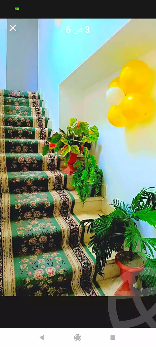 https://aqarmap.com.eg/en/listing/6959899-for-rent-alexandria-sydy-bshr