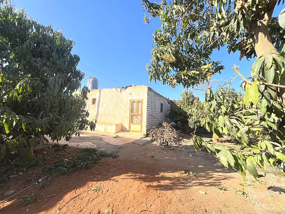 https://aqarmap.com.eg/ar/listing/6959909-for-sale-ismailia-tall-el-kebir