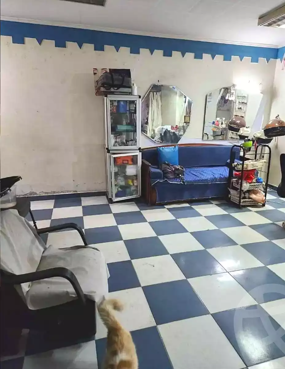 https://aqarmap.com.eg/ar/listing/6964506-for-sale-alexandria-fyktwry