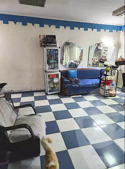 https://aqarmap.com.eg/en/listing/6966653-for-sale-alexandria-fyktwry