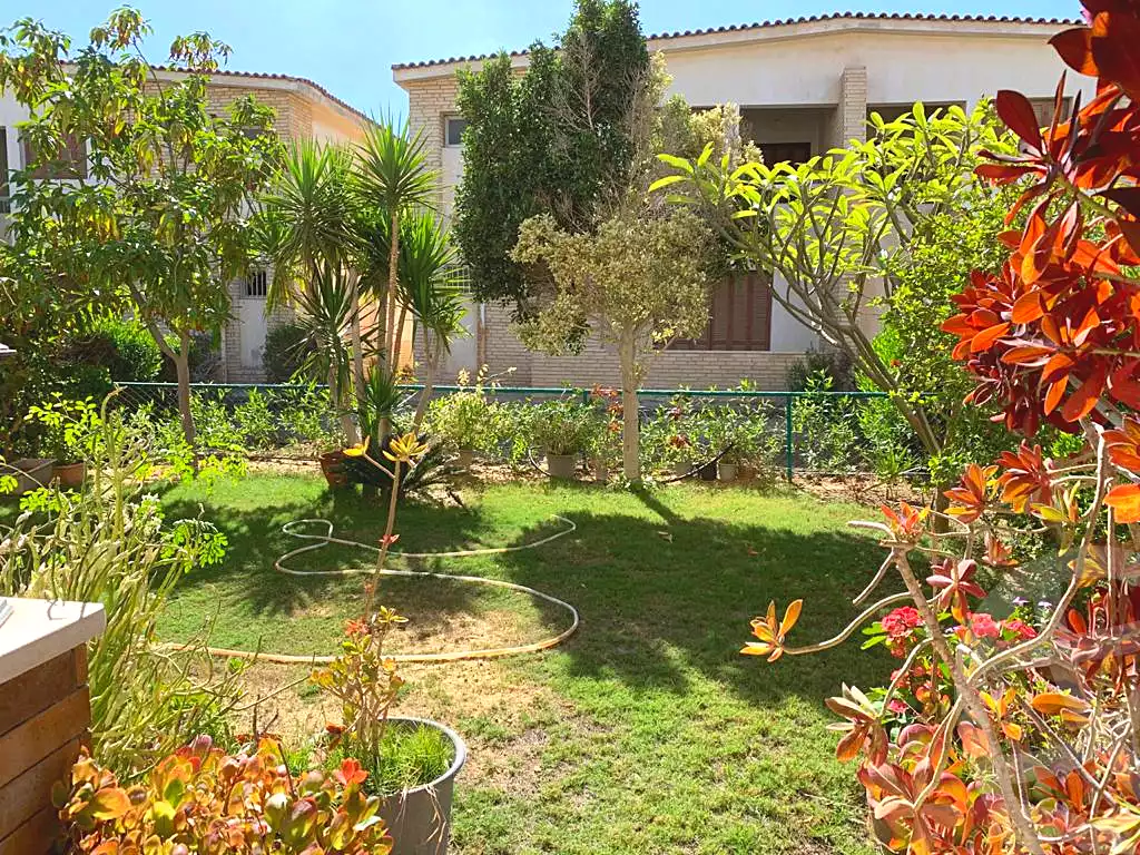 https://aqarmap.com.eg/en/listing/6967415-for-sale-alexandria-moharram-bey-tryq-qn-lswys