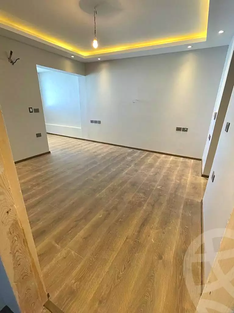 3 BR Apartment in Hyde Park, photo 4 of 21