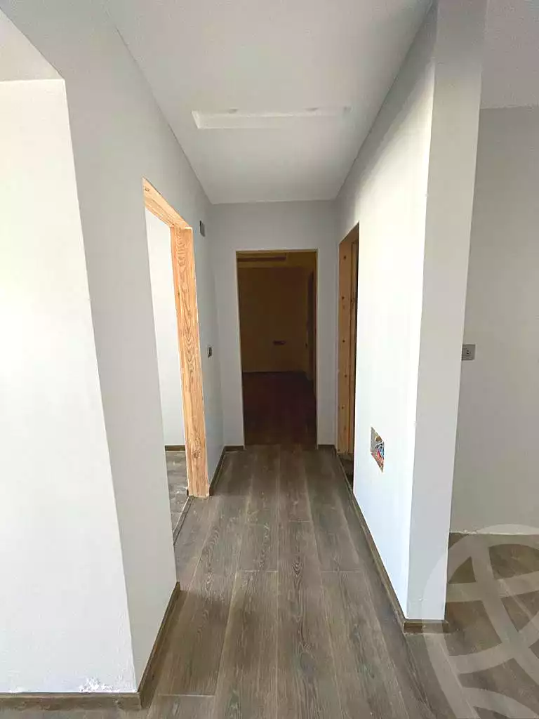 3 BR Apartment in Hyde Park, photo 21 of 21