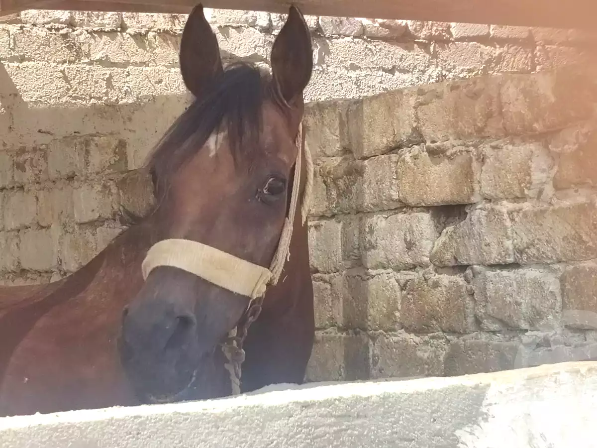 https://aqarmap.com.eg/ar/listing/6968756-for-sale-asyut-asyut-city-al-zeraieen-st