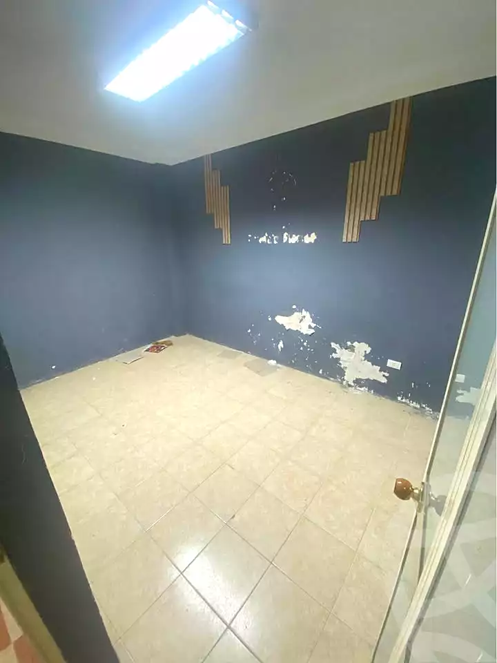 https://aqarmap.com.eg/en/listing/6969828-for-rent-alexandria-ganaklis